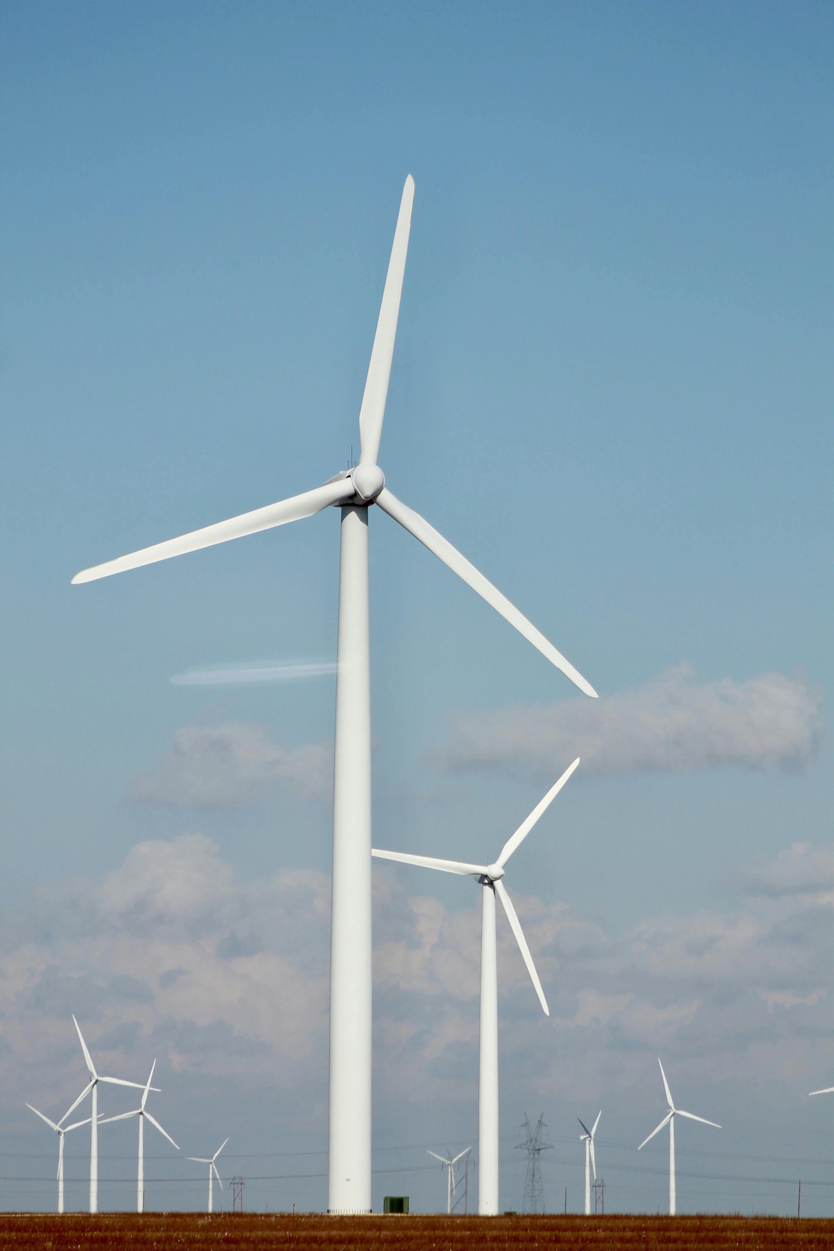 Net Zero Journey Cycle Diagram