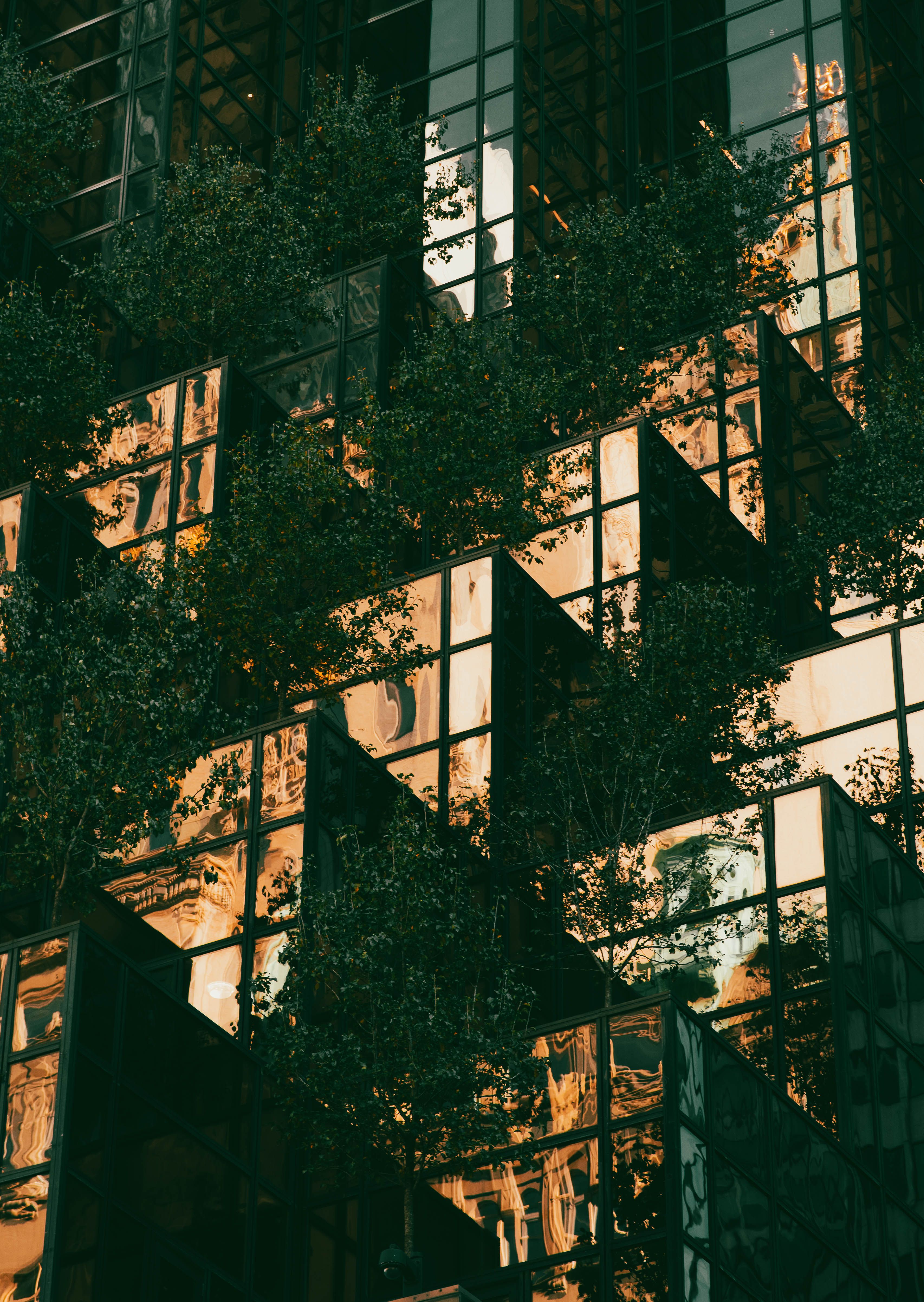 LEED certified green building